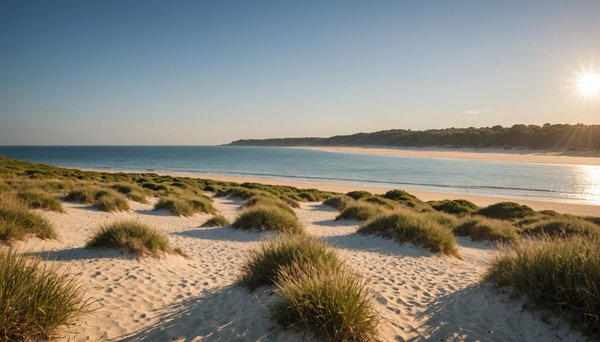Les plus belles plages à découvrir dans les landes avec le camping lou pignada