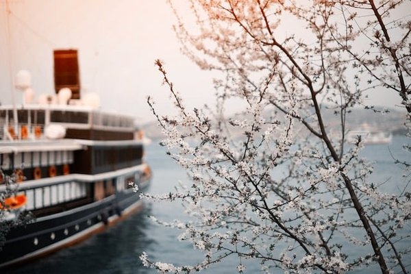 Les Avantages et les Inconvénients de Faire Une Croisière