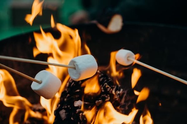 10 Promos Immanquables pour un Séjour de Rêve en Camping au Pays Basque